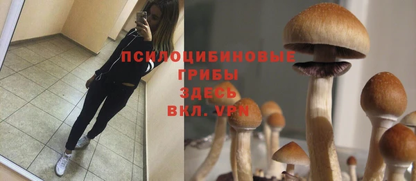 кокаин колумбия Гусиноозёрск