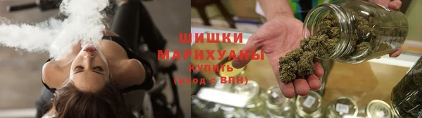 трава Гусев