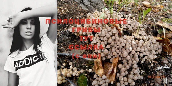 метамфетамин Гусь-Хрустальный