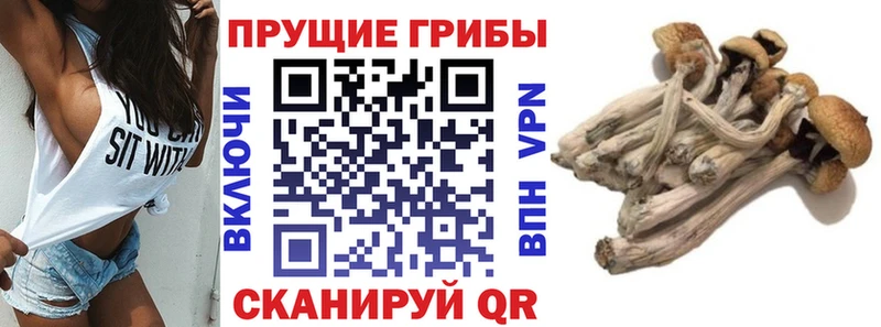 Галлюциногенные грибы Magic Shrooms  Обоянь 
